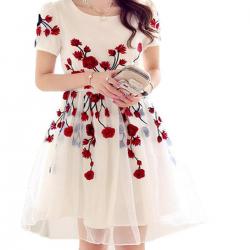 Jaybhavanifashion Womens Dresscsos-red-rose_white_X-Large