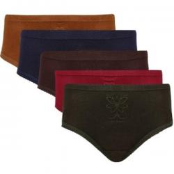 Vaishma Embroidered-5M2 Womens Brief Multicolor Panty