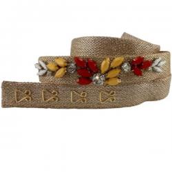 Demigods Girls, Women Party, Evening Gold Fabric Belt