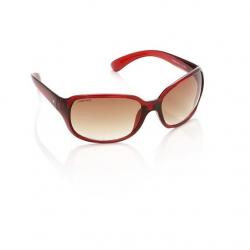 Fastrack Over-sized Sunglasses,Brown