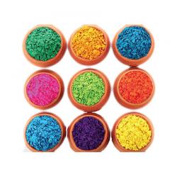 Horizon Exports Holi Color, pack Of 9 - 900gm