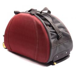 Fidato Urban Style Polyester 2 Wheel Trolley Combo-set Of 2