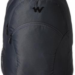 Wildcraft Ace Grey 15 Inches Laptop Backpack