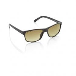 Fastrack Wayfarer Sunglasses