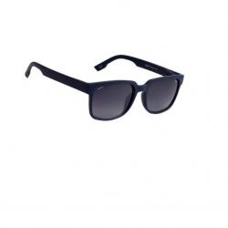 Fave Wayfarer Sunglasses